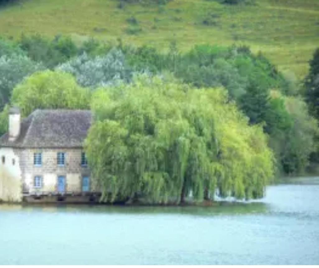 En Toute Quietude 利萨克叙尔库兹 外观 照片